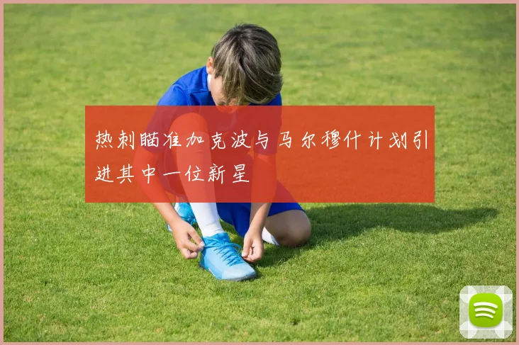 热刺瞄准加克波与马尔穆什计划引进其中一位新星
